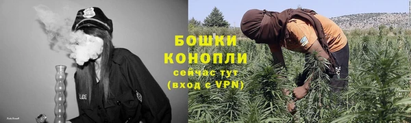 твердый Киров
