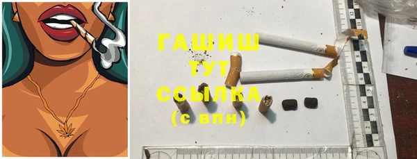 гидра Володарск