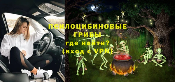 ПСИЛОЦИБИНОВЫЕ ГРИБЫ Барнаул
